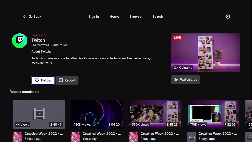 Twitch screenshot 17