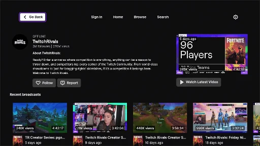 Twitch screenshot 20