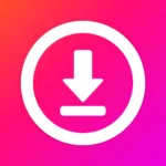 Video downloader - Story Saver