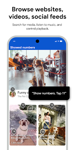 Voice Access screenshot