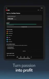 YouTube Studio screenshot 13