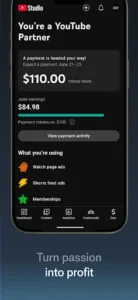 YouTube Studio screenshot 6