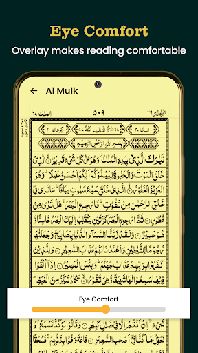 Al Quran Kareem 16 lines Quran screenshot 7