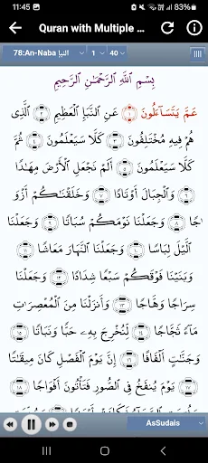 Al Sudais Full Quran Offline screenshot 22