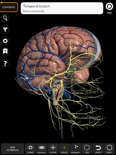 Anatomy 3D Atlas screenshot 11