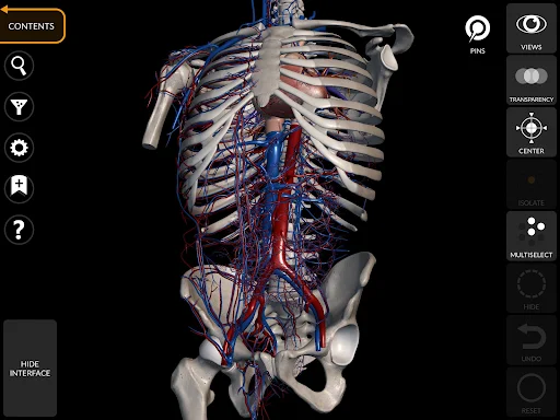 Anatomy 3D Atlas screenshot 12