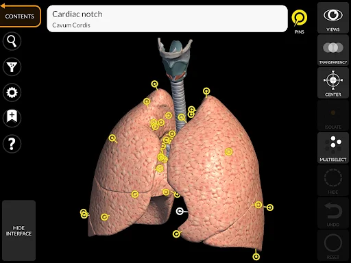 Anatomy 3D Atlas screenshot 14