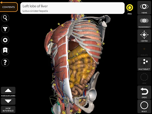 Anatomy 3D Atlas screenshot 17
