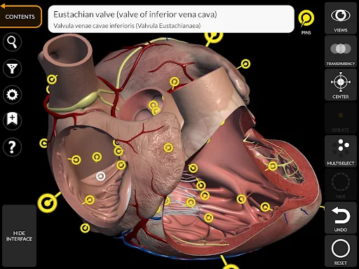 Anatomy 3D Atlas screenshot 18