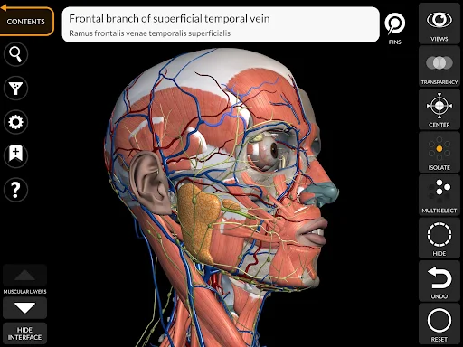 Anatomy 3D Atlas screenshot 20