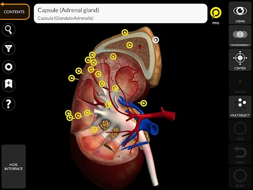 Anatomy 3D Atlas screenshot 21