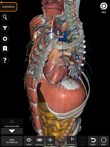 Anatomy 3D Atlas screenshot 24