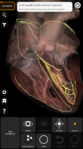 Anatomy 3D Atlas screenshot 6
