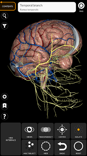 Anatomy 3D Atlas screenshot 7