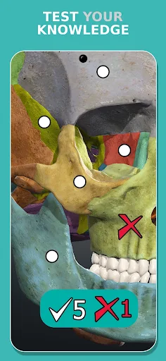Anatomy Learning - 3D Anatomy screenshot 13