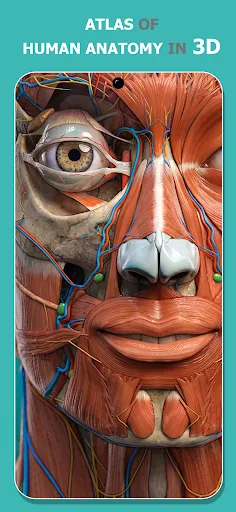 Anatomy Learning - 3D Anatomy screenshot 15
