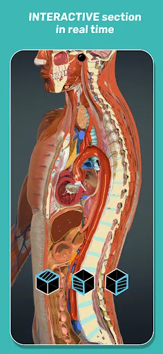 Anatomy Learning - 3D Anatomy screenshot 21