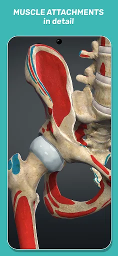 Anatomy Learning - 3D Anatomy screenshot 5