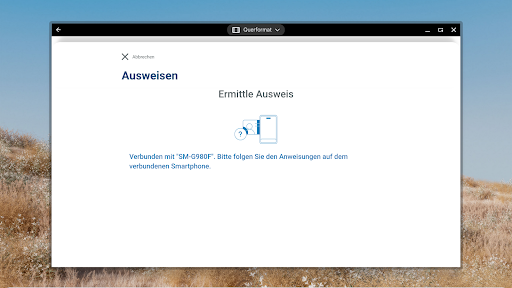 AusweisApp Bund screenshot 17
