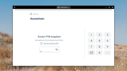 AusweisApp Bund screenshot 18