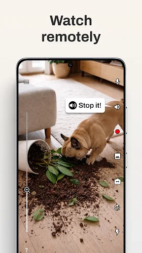 Camy — Live Video CCTV screenshot 19