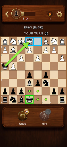 Chess Master: Board Game screenshot 19