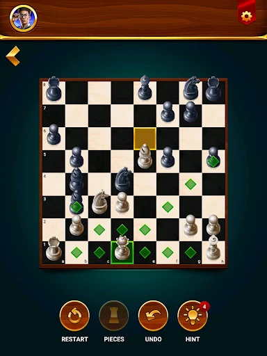 Chess - Offline Board Game screenshot 11