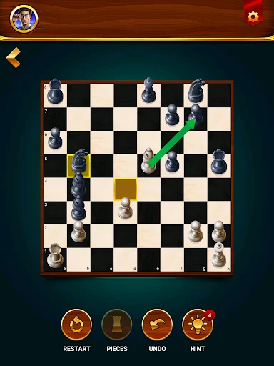 Chess - Offline Board Game screenshot 12