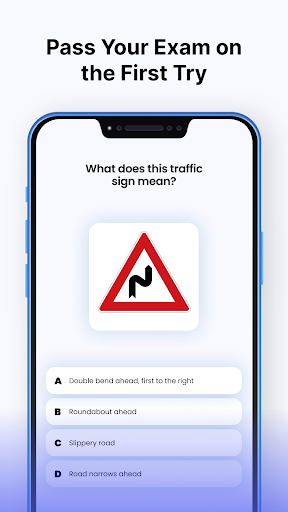Driving Instructor: Road Test screenshot 2