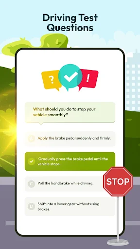 Driving Instructor-Theory Test screenshot 17
