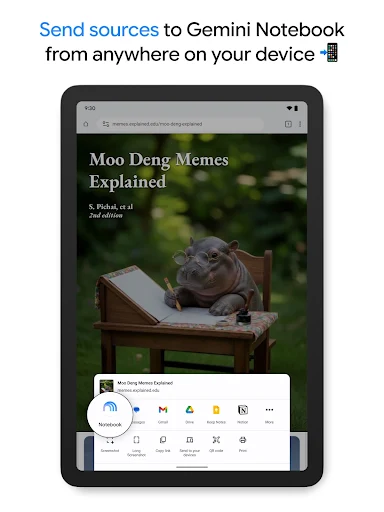 Gemini Notebook screenshot 12