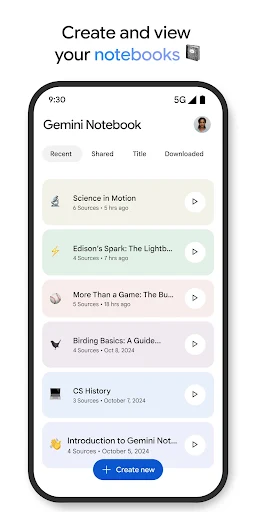 Gemini Notebook screenshot 2