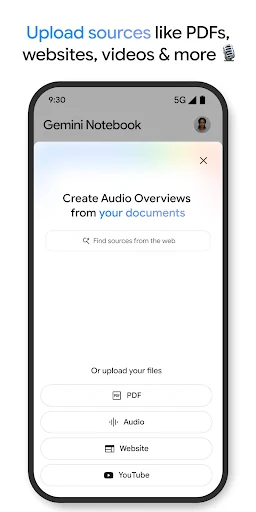 Gemini Notebook screenshot 5