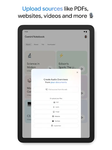 Gemini Notebook screenshot 9
