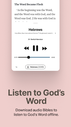 Holy Bible Offline NIV KJV App screenshot 3