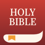 Holy Bible Offline NIV KJV App