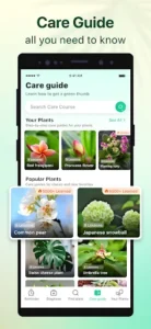 Plant Parent screenshot 6