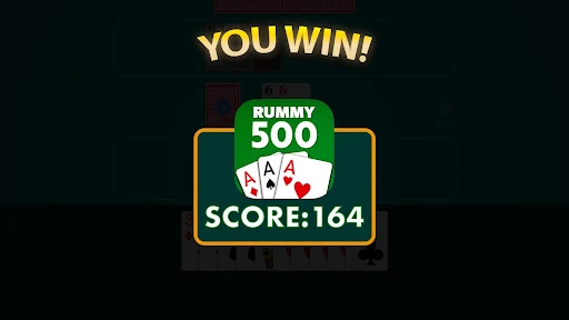 Rummy 500 - Card Game screenshot 15