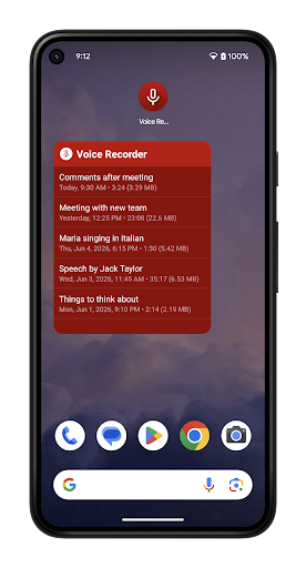 Voice Recorder Pro screenshot 6