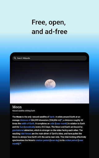 Wikipedia screenshot 17