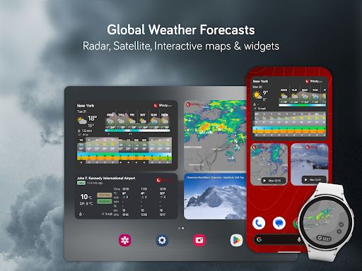 Windy.com - Weather Forecast screenshot 11