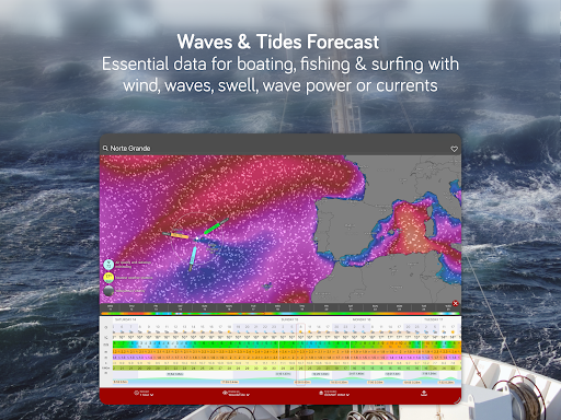 Windy.com - Weather Forecast screenshot 22