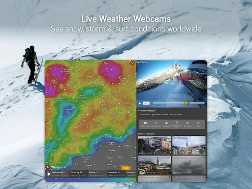 Windy.com - Weather Forecast screenshot 24