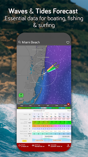 Windy.com - Weather Forecast screenshot 7