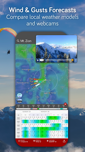 Windy.com - Weather Forecast screenshot 8